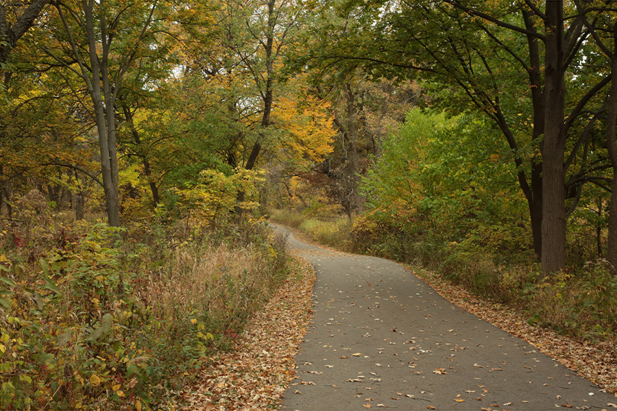 fall trail at York Woods